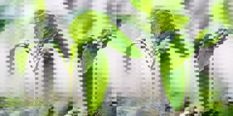 Francesco Gallarotti Ruqhpukrn7c Unsplash